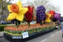 Thumbs/tn_Bloemencorso 2015 036.jpg